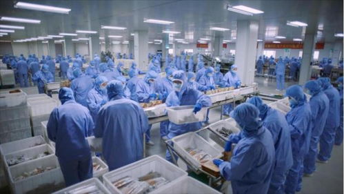 鄉(xiāng)村振興 鏈?zhǔn)缴罡称樊a(chǎn)業(yè)鏈 協(xié)同共筑發(fā)展新引擎